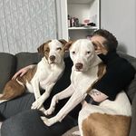 Demi Murray-Harman - @nacho_and_maze - Instagram