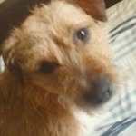 Demipowell - @demipowell7724 - Instagram