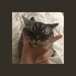 ;;Min yoongi - @demian.smith.6u9 - Instagram