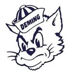 Deming Wildcat Baseball - @demingwildcatbaseball - Instagram