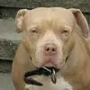 demondjames3 - @demond.james4 - TikTok