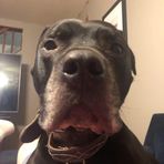 Dempsey Murphy - Facebook