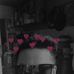 Den Davis - Facebook