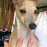 dena bailey - @denabailey945 - Instagram