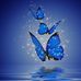 Dena Baldwin - Facebook