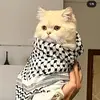 dena - @denaballout - TikTok