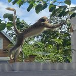Dena Barr - @barrowdianne - Instagram