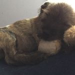 Dena Barry - @bdenab83 - Instagram