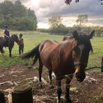 Murdena Bartlett - @dena.bartlett - Instagram