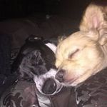 Dena Barton-Rosiak - @bartonrosiak - Instagram