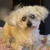dena - @denapopmabarton - TikTok