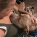 Dena Bean - Facebook