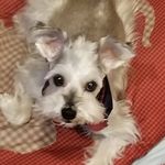 Dena Waggoner Beck - @beckdena - Instagram