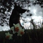 Rick Dena Beck - @rickdena - Instagram