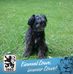 Dina Benner - Facebook