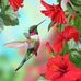 Dena Bennett - Facebook