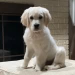 Dena Blackmar Morley - @dena.blackmar.morley - Instagram