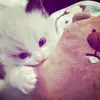 denaa - @bloom.dena - TikTok