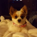 Dena Cherricks Bowden - @bowden246 - Instagram
