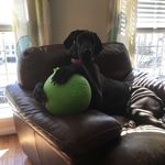Dena Boyd - @denaboyd3hm - Instagram