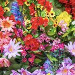 Dena Boyd McCabe - @mamamccabe7142 - Instagram