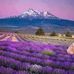 Bhatt Dhani - Facebook