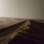 Dena Brown - @dena.brown.39589 - Instagram