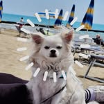 Dena Bruce - @bevecbechem - Instagram