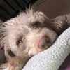 Denayha Bruce - @denayha.bruce - TikTok