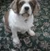 Dena Buckley - Facebook