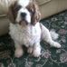 Dena Buckley - Facebook