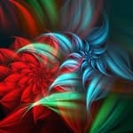 Dena Burch - @burchdena - Instagram