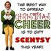 Dena Burkhart Kent, Independent Scentsy Consultant - Facebook