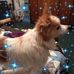 Dena Burris - Facebook