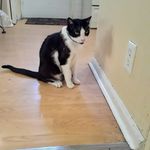 Dena Carmichael - @dena.carmichael.5 - Instagram