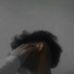 Dewana Gak - Facebook