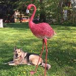 Dena Cross Wilson - @dena_ally - Instagram