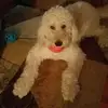 Dena - @denafoster8 - TikTok