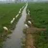 Afndena Friend - @afndenafriend - TikTok