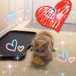 Dena - @best_friend_dena_jaradat - Instagram