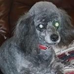 Dena Green - @dena.green.9026 - Instagram