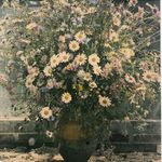 Dena Griffith - @themodernlifeportland - Instagram