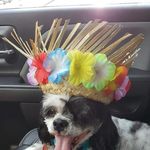 Dena Hancock - @dena.hancock.92 - Instagram