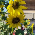 dena harding - @denaharding50 - Instagram
