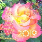 Dena Mountjoy Hardin - @denalhardin - Instagram