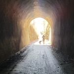 Dena Mooney-Harper - @denaka1 - Instagram
