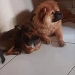 Dena Martin - @dena010203 - Instagram