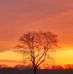 Dena Matthews - Facebook
