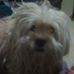 Dena Matthews - Facebook