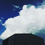 Dena McCall - @shidoshidanes - Instagram